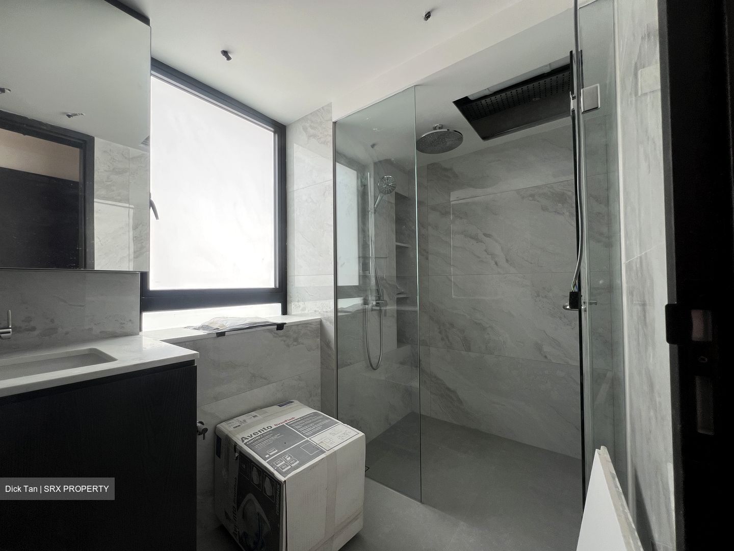 Braddell Heights Estate (D13), Detached #504954581